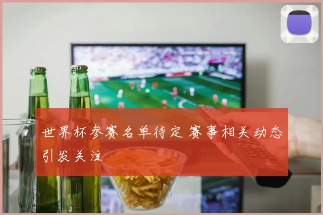 世界杯参赛名单待定 赛事相关动态引发关注