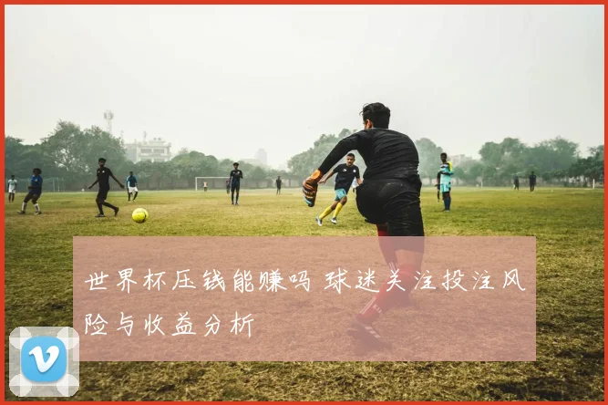 世界杯压钱能赚吗 球迷关注投注风险与收益分析