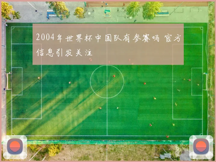 2004年世界杯中国队有参赛吗 官方信息引发关注