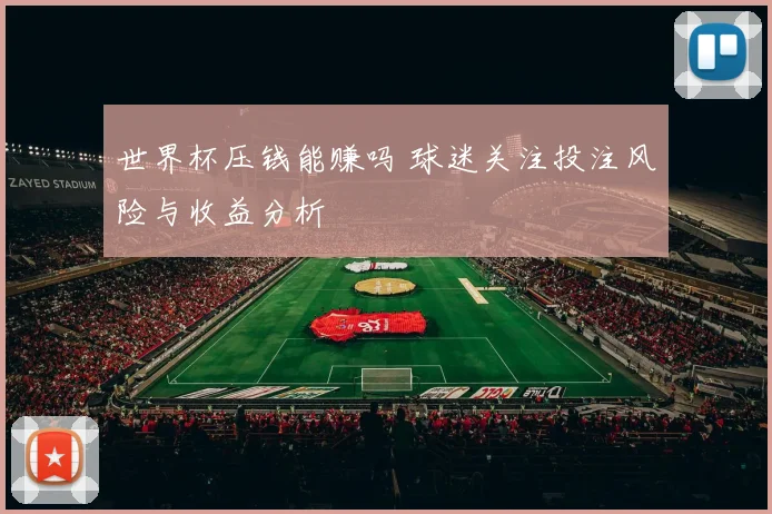 世界杯压钱能赚吗 球迷关注投注风险与收益分析