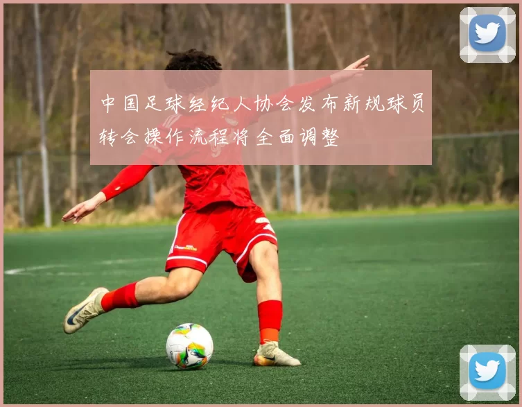 中国足球经纪人协会发布新规球员转会操作流程将全面调整